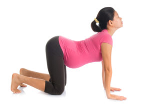 Prenatal Yoga Poses